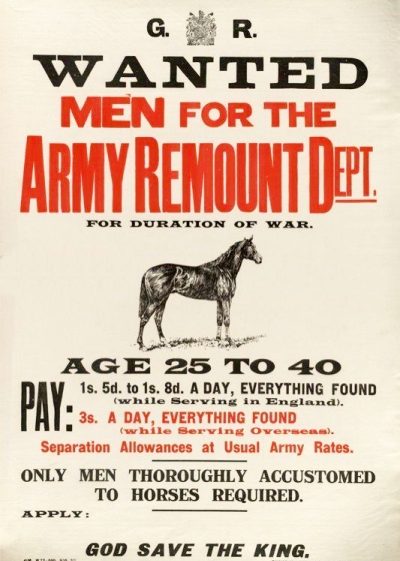 Army Remount Poster (WW1) | Phoebe Merrick (TVRS, Romsey)