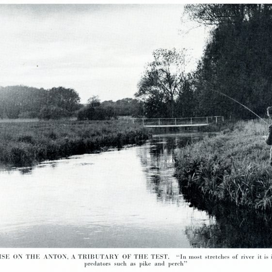Fishing on the River Anton (1966)