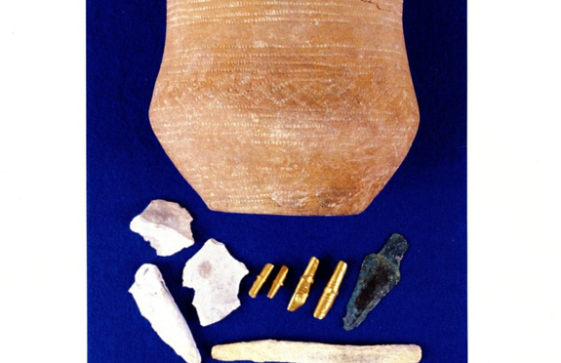 Chilbolton Bronze Age Burial